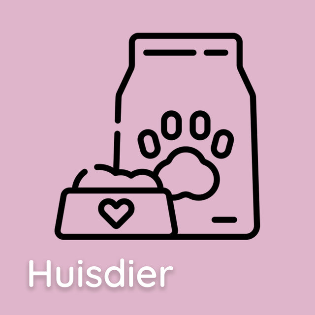 Huisdier