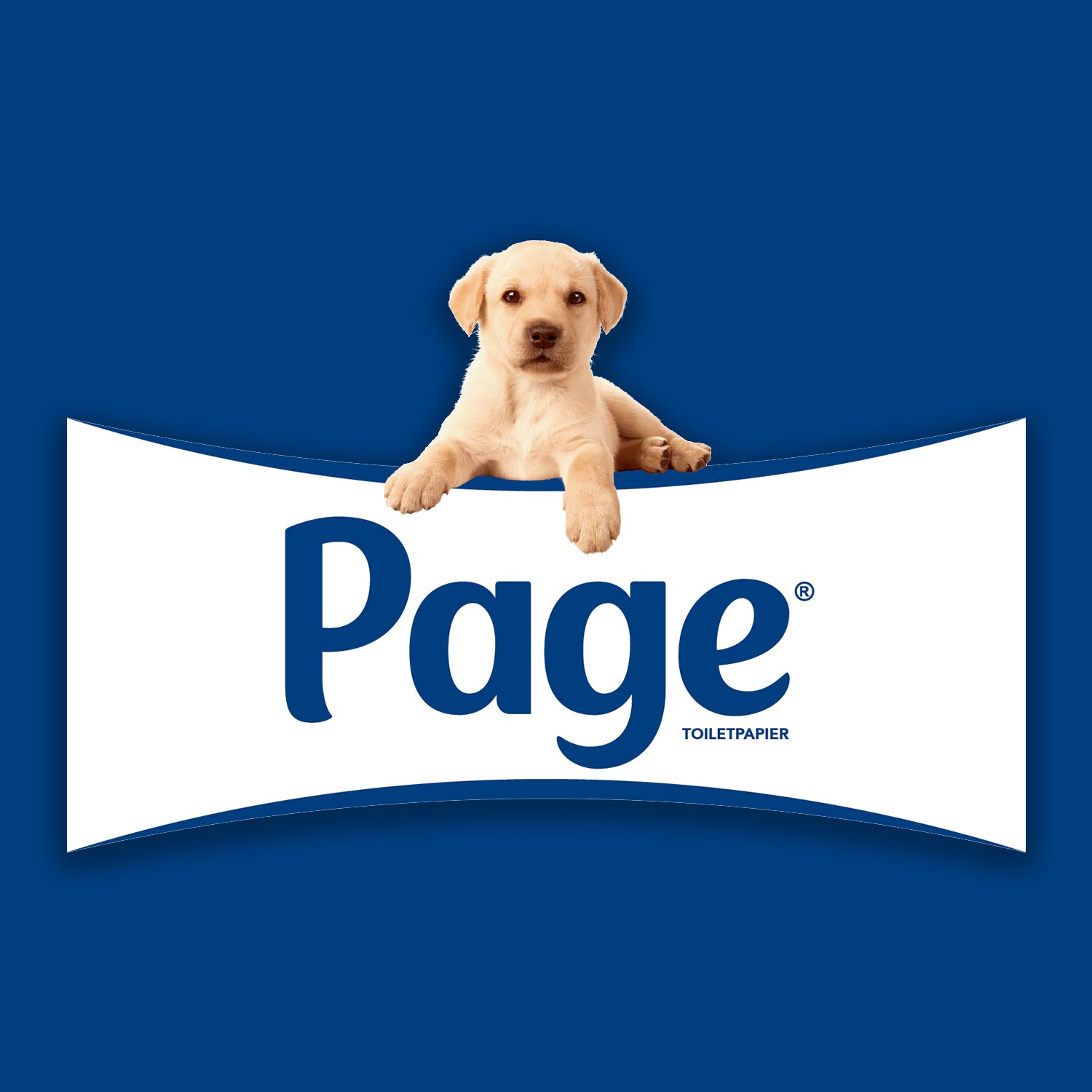 Page Toiletpapier